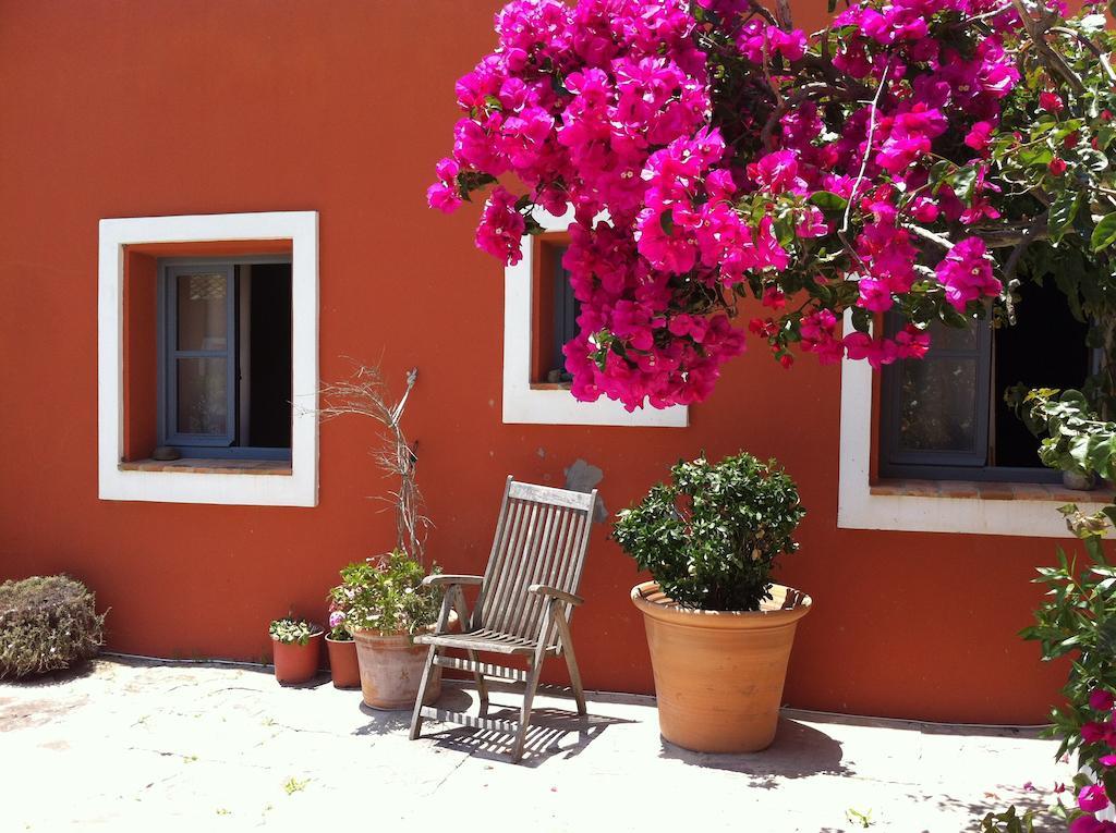 Cortijo El Pozuelo Guest House Tarifa Ngoại thất bức ảnh